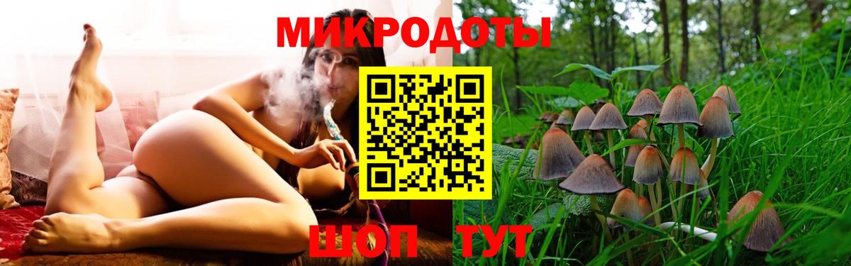 Галлюциногенные грибы Magic Shrooms  Галлюциногенные грибы GOLDEN TEACHER  Новошахтинск  цена наркотик  Вход с VPN 