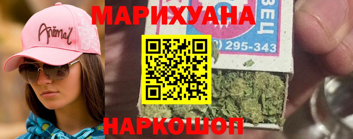 Шишки марихуана планчик Новошахтинск